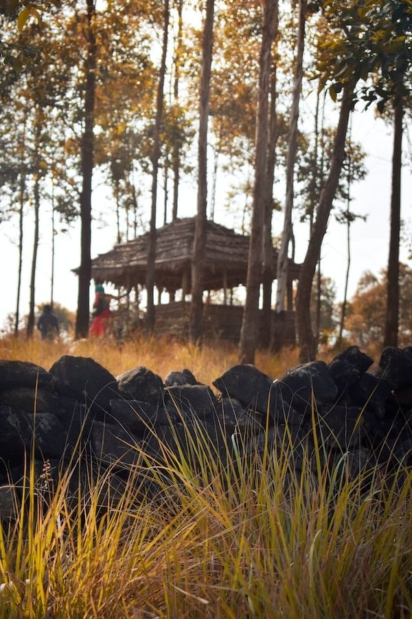 Quels sont les secrets pour voyager malin grâce au tourisme bon-plan ?