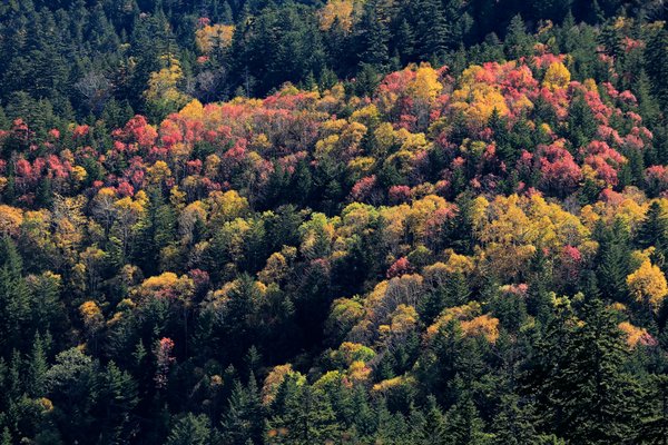 Explorez le monde avec la loutre vadrouille : vos aventures !